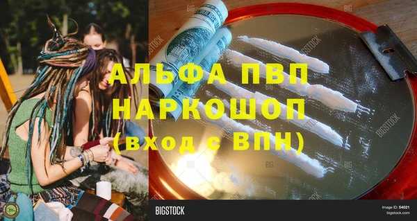 Альфа ПВП Гусев