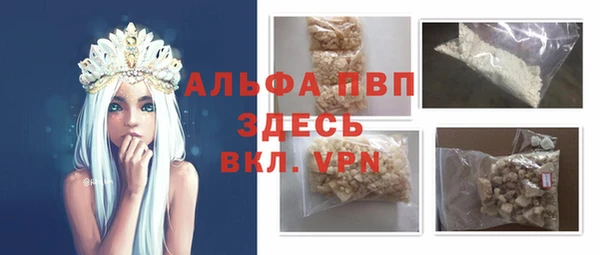 индика Снежинск