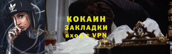 мдпв Гусь-Хрустальный
