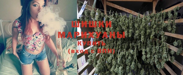 мдпв Гусь-Хрустальный