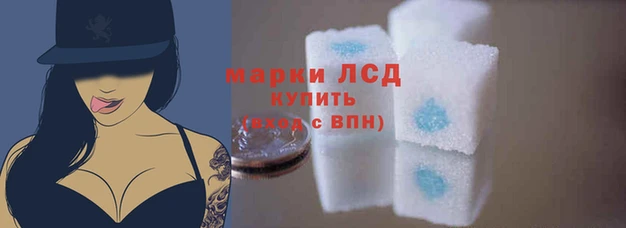 Альфа ПВП Гусев