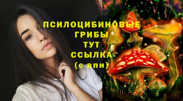 скорость Гусиноозёрск