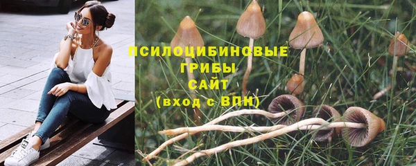винт Елабуга