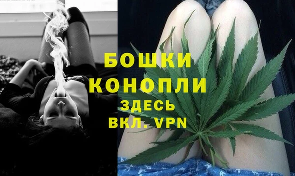 Альфа ПВП Гусев
