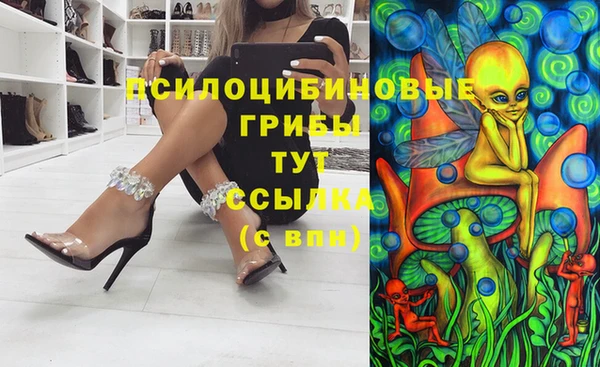 Альфа ПВП Елизово