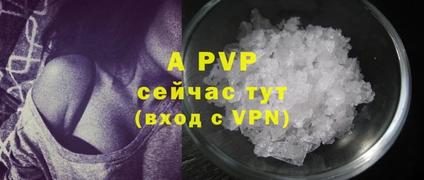 Альфа ПВП Гусев